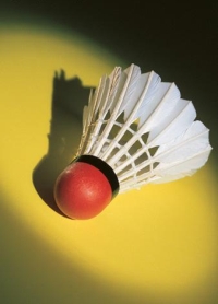 badminton - to play badminton