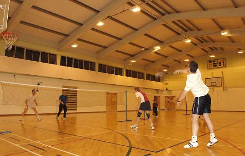 badminton - to play badminton