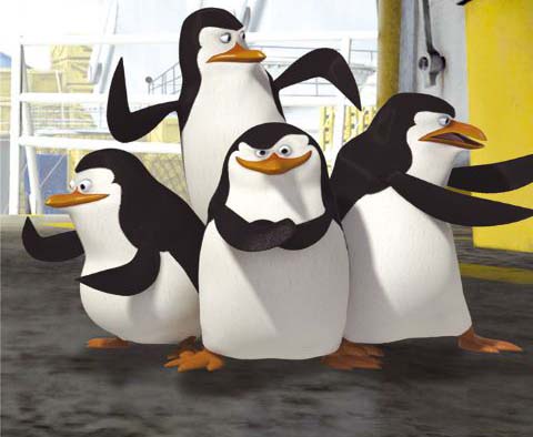 Madagascar penguins - The best