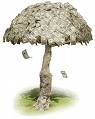 Picture - Picture of a Tree surrounded by Currency