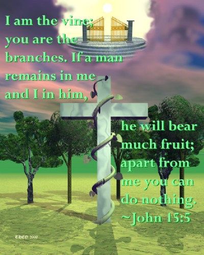John 15:5 - a lovely depiction of John 15:5