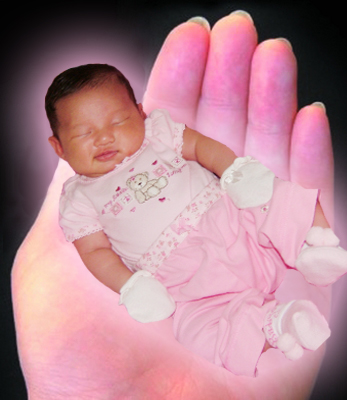 Baby Gia - My layout of Baby Gia sleeping in a hand.