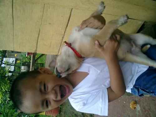 Nephew Jepoy and pet Piper - Nice picture..cutie