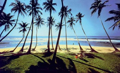 sri lanka beach - the sri lanka beautiful beaches have attracted so many people from around the world
