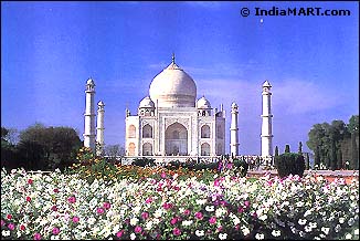 taj mahal - its been built by shahajahan..for the memory of his wife mataj.. its neae delhi.. its made from pure white stone.. very good to see.. people visiti every time there.. so its vey cute also to see.. nw as days its beeing sopoiled due to pollution