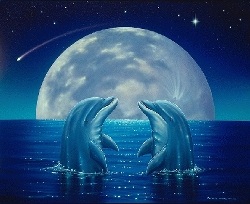 dolphins - i love dolphins hope to swim with them one day