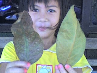 Face and 'daun' - This is my cousin