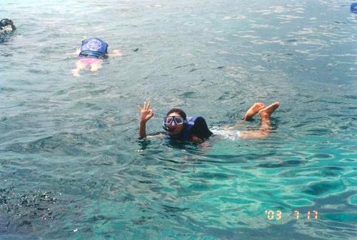 Snorkeling - at Phi Phi Island