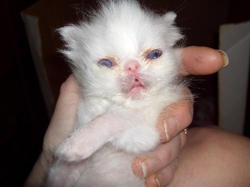 My baby Taken a few minutes ago. - Picture of my baby taken a few minutes ago