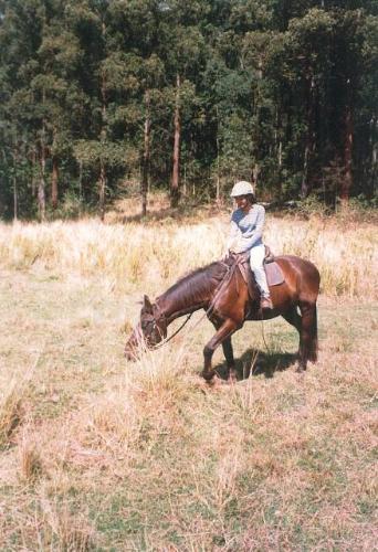 Horseback Riding - at Australia