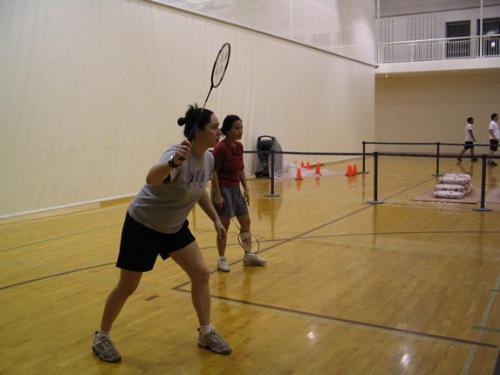 badminton - to play badminton