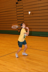 badminton - to play badminton