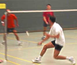badminton - to play badminton