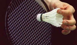 badminton - to play badminton