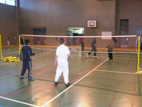 badminton - to play badminton
