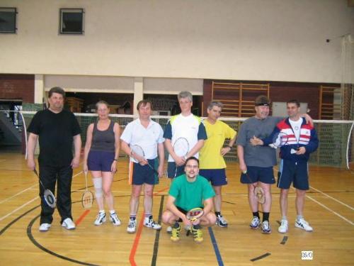 badminton - to play badminton