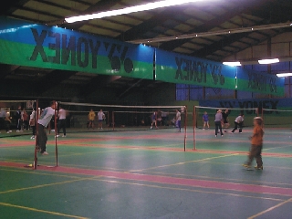 badminton - to play badminton