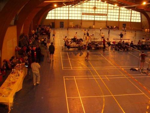 badminton - to play badminton