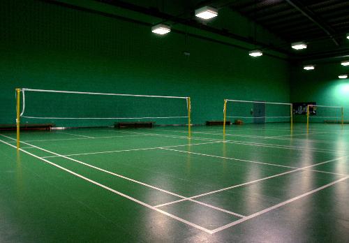 badminton - to play badminton
