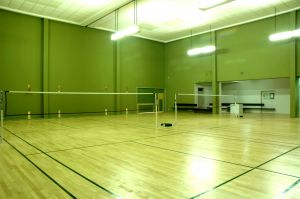 badminton - to play badminton