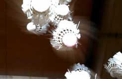 badminton - to play badminton