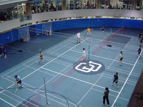 badminton - to play badminton