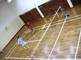 badminton - to play badminton