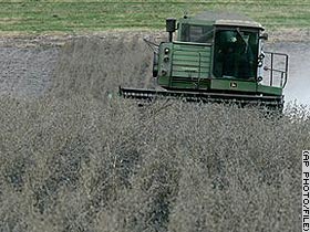 Web forums replacing coffee shops for farmers - Web forums replacing coffee shops for farmers Web forums replacing coffee shops for farmers
