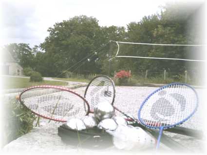 badminton - to play badminton