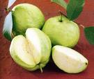Guava Fruit - Guava is a delicious fruit