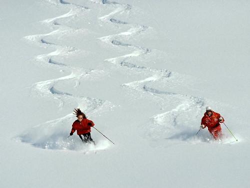 sport, snow skiing - sport, sports, nba, soccer, football, formula one, arena, play ground, gymnasium, athlete, match, games