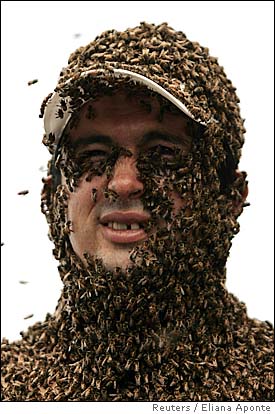 bees - bees on man's face
