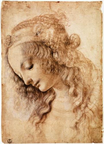 leonardo da vinci  - the arts of leonardo da vinci