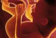 Baby in the womb - photo showing a baby inside the womb