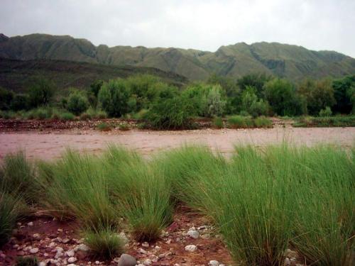 Teri Toi - Teri river in flood.