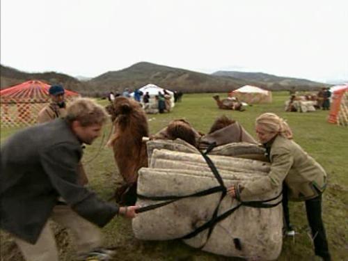 The Amazing Race - Amazing Race. The