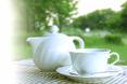 have a cup of tea !  - a pot with a cup of tea 