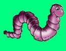 earthworms  - long and tender and best of all contains no fat, 