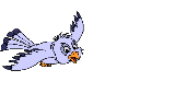Birds - Each bird has its own beauty. Birds - Each bird has its own beauty.