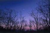Is there life out there? - The sky at night Is there life out there? - The sky at night
