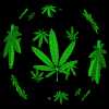 World Leafs - Just of course you guess it another marijuana picture.