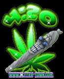 420 Time - I use all these avatars on every site I go to so keep your eyes open and you probably noticed that Im everywhere.
