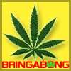 Bring A Bong - Anytime you go to a party you know you should bring your bong if your a toker.