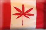 Canada Marijuana Flag - Id stand proud in front of this if it was actually our national flag.