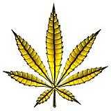 Golden Leaf - I use all these avatars on every site I go to so keep your eyes open and you probably noticed that Im everywhere.