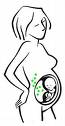 Pregnancy myths - A picture of a pregnant woman and you can see the outline of the baby. Women are pregnant for 9 months (40 weeks) in which time their babies grow and develop.