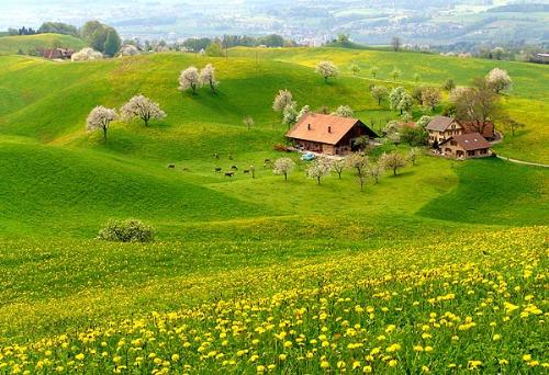 Nature - Beautiful greenery and a single house,its just beautiful to have so much greenery.