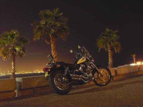 Bike - Yamaha Virago 535cc