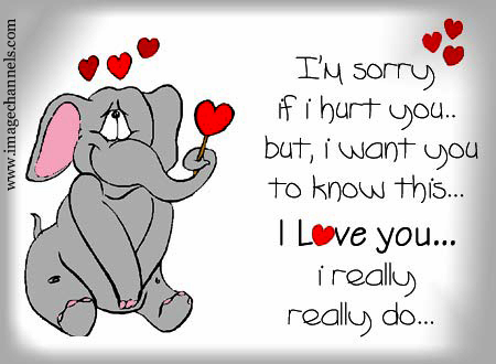 i'm so sorry - sorry for everything