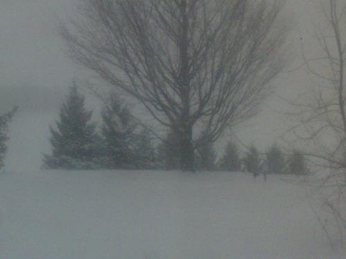 picture that i took this morning first thing - picture that i took this morning